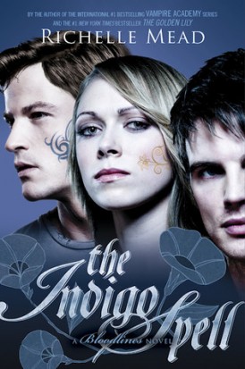 The Indigo Spell Book Review