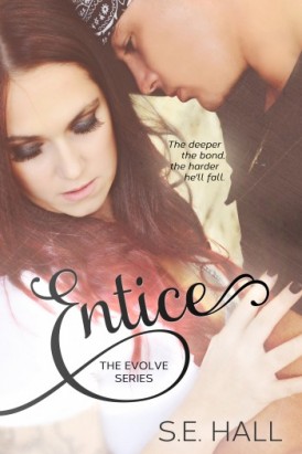 Entice Book Tour Review Entice Book Tour Review