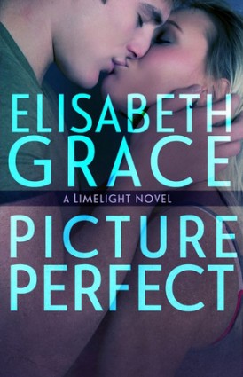 Picture Perfect Book Tour Review Picture Perfect Book Tour Review