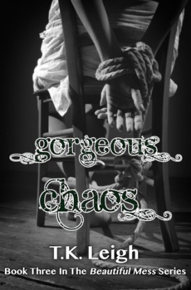 Gorgeous Chaos Book Review Gorgeous Chaos Book Review