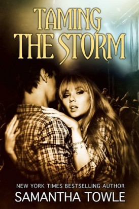 Taming The Storm Book Review Taming The Storm Book Review