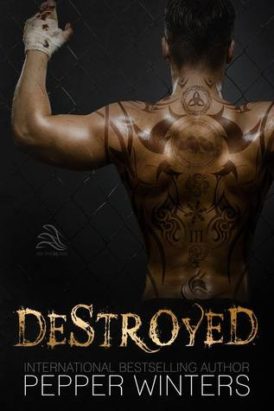 “Destroyed” Book Review “Destroyed” Book Review