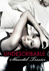 Undescribable Book Tour Undescribable Book Tour