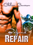 Beyond Repair New Book Cover Reveal