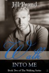 Walk Into Me Cover Reveal