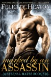 “Marked by an Assassin” Book Blitz/ Giveaway**