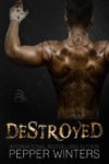 “Destroyed” Book Review