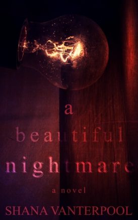 A Beautiful Nightmare Book Review/ Giveaway* A Beautiful Nightmare Book Review/ Giveaway*