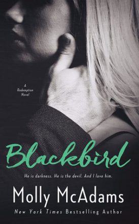 Blackbird Book Review Blackbird Book Review