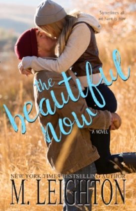 The Beautiful Now Exclusive Excerpt The Beautiful Now Exclusive Excerpt