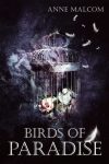 Birds of Paradise Is Live!