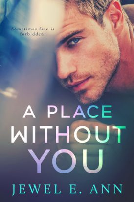A Place Without You Book Review A Place Without You Book Review