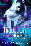 Trouble At Brayshaw High Cover Reveal